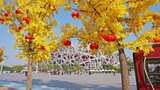 北京鸟巢秋天银杏高清在线视频素材下载