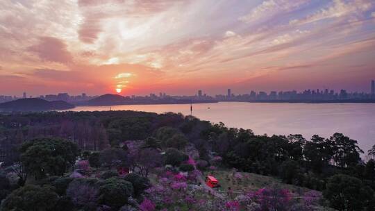 夕阳 东湖 梅花节