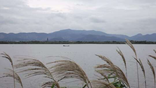 风景 湿地 湖面 旅游 水库 湖泊