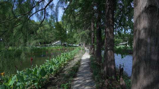 湖北武汉东湖落雁景区九曲桥