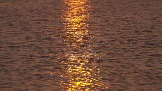 海边夕阳 黄昏日落 金色江水 治愈唯美 浪漫