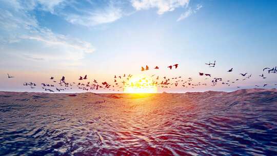4K 夕阳下飞翔的海鸥群慢动作摄影视频素材模板下载