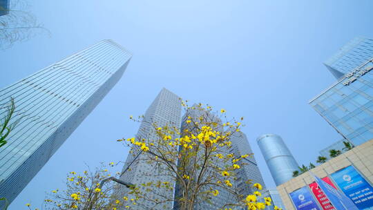 南宁五象新区街景 现代化高楼林立城市穿梭