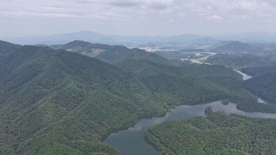 信丰金盆山国家森林公园