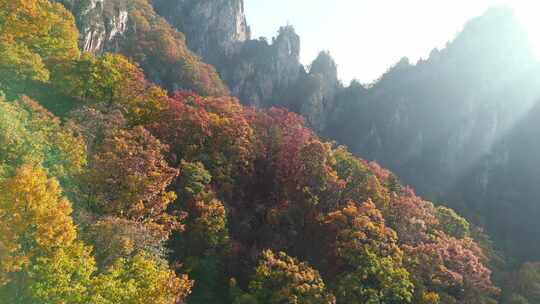 南阳老界岭秋景风光