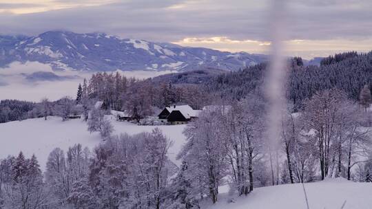 雪山森林天际线景观