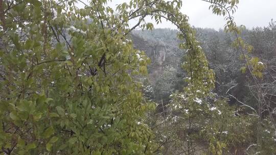 农村下雪场景，天然石佛，下水大佛