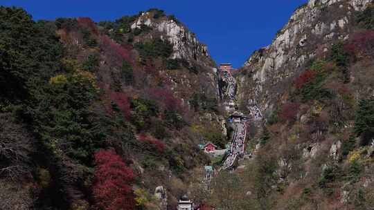 泰山对松山的秋色