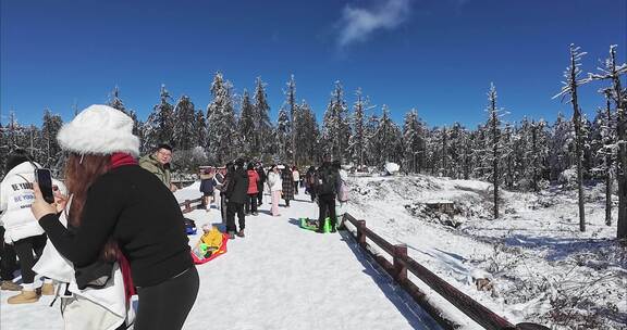 高清实拍瓦屋山冬天雪景雪山森林