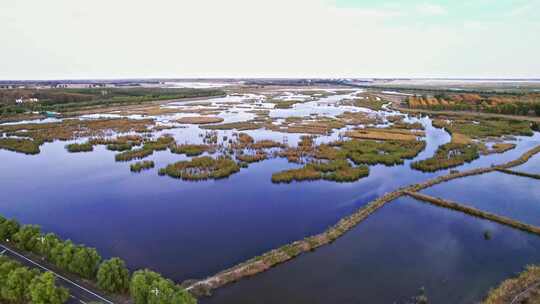 吉林莫莫格自然湿地保护区