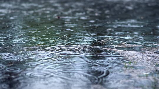 雨滴落在水中视频素材模板下载