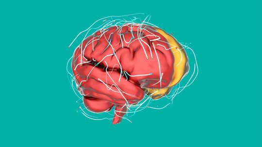 大脑动态设计的3D抽象艺术