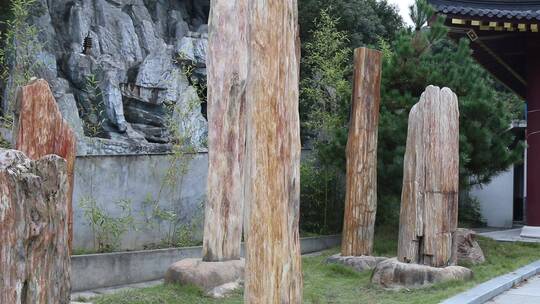 木桩假山时间流逝