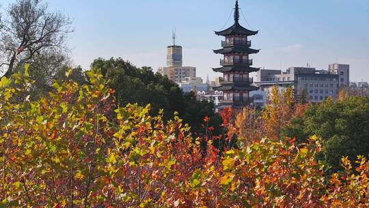 上海秋天 嘉定古塔 嘉定地标