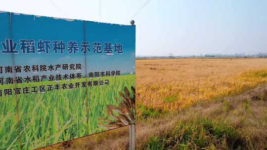 稻米农田养殖基地正丰告示牌子
