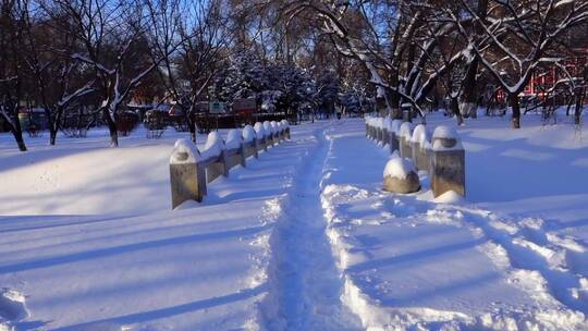 冬天公园老树小河雪景