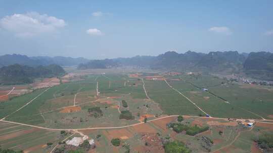 广西大面积甘蔗种植基地航拍