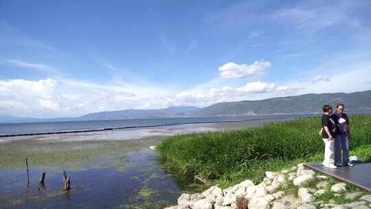 云南大理洱海海边风光风景