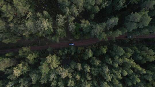 森林中的公路航拍