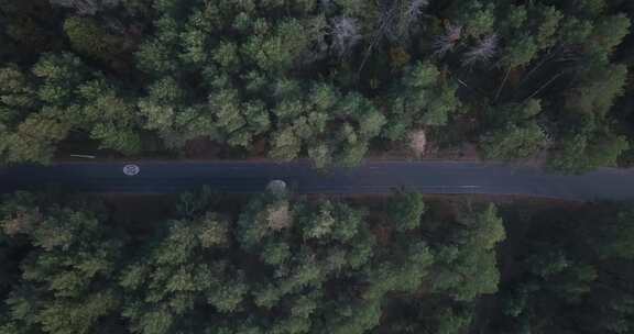 无人机在森林公路上起飞，限速为20公里