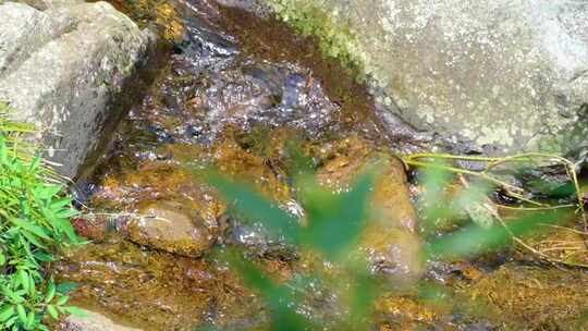 河边流水河流河水小溪山泉泉水水流升格大自