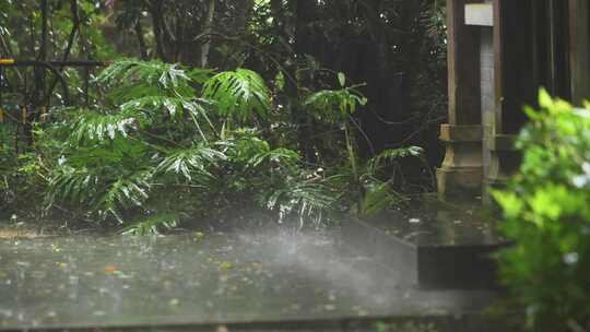 暴雨落在地面上