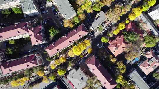 天津海河城市建筑风光俯瞰航拍