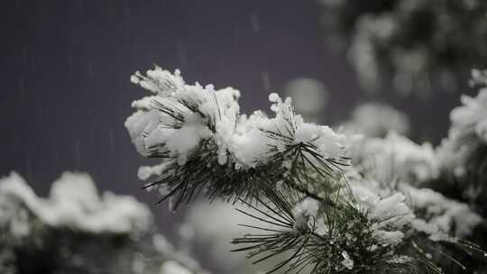 雪景唯美升格实拍