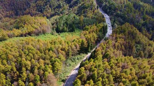 秋天 公路 风景 航拍 景区