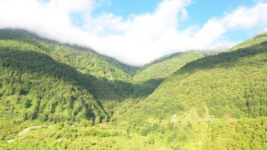 山区大自然阳光