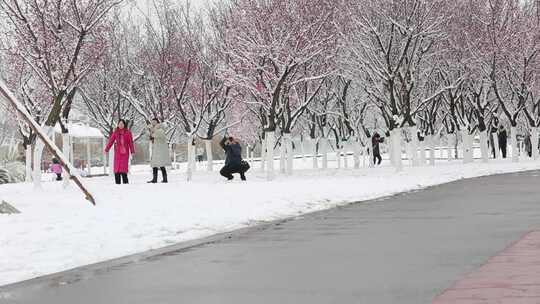 龙年春节汉中春雪