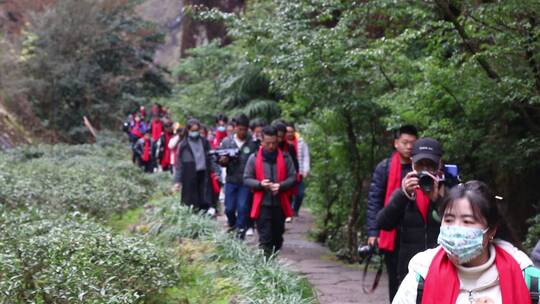 大家在武夷山踏青