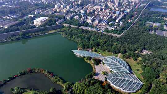 南京植物园玄武湖航拍