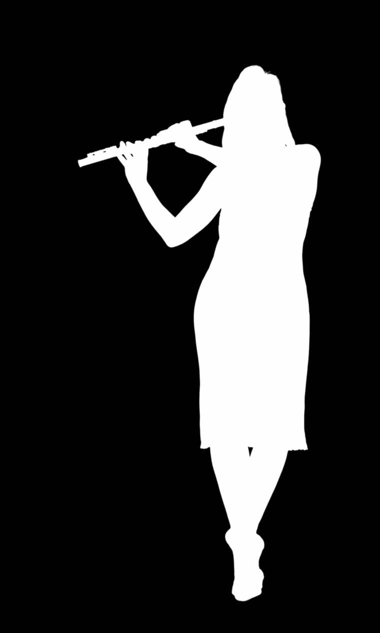 音乐乐器演奏剪影