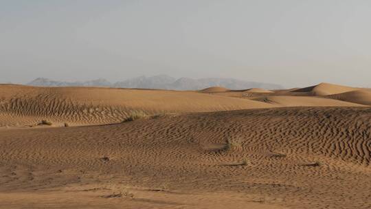 沙漠沙地十分的干燥 视频素材模板下载