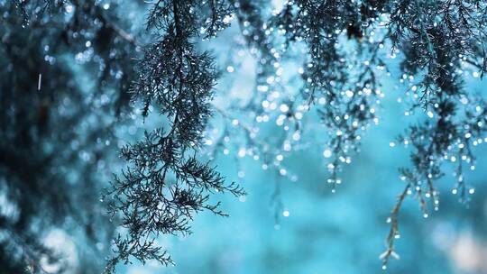 春雨下雨雨天空境