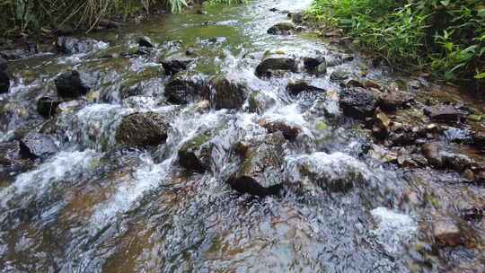 山间小溪水河流水阳光树林视频