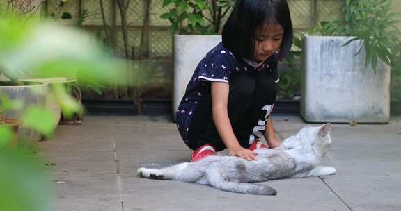 可爱小女孩与她的宠物猫在花园院子里玩耍