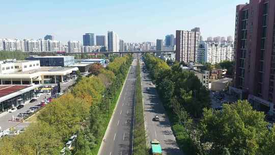 城市道路鸟瞰图，道路两旁绿树成荫