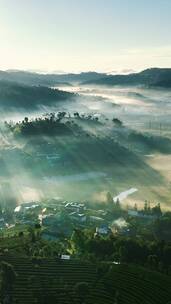 航拍云雾中的茶山村庄