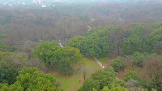 杭州植物园风景视频素材