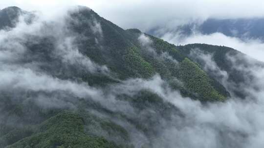 自然风景山区清晨云海翻腾直录4K航拍唯美