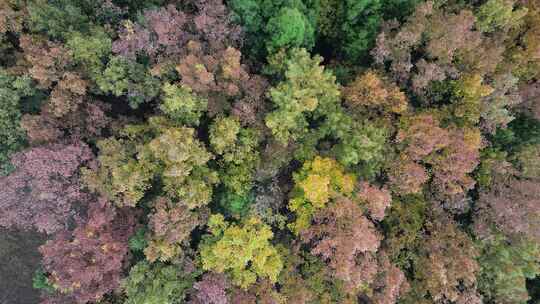 四川德阳罗江区附近山林秋色