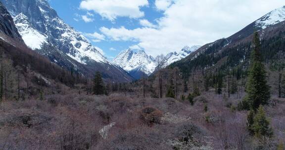 四姑娘山双桥沟秋季蓝天白云航拍风景