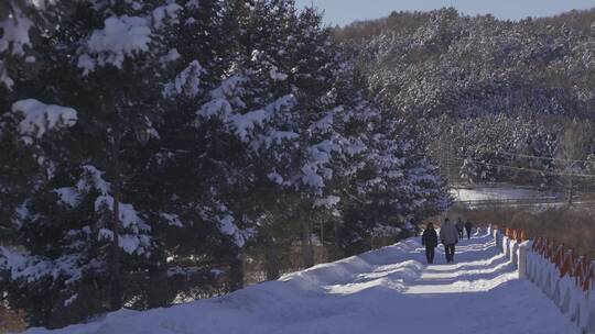 雪中漫步