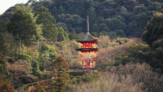 京都，宝塔，游客，寺庙