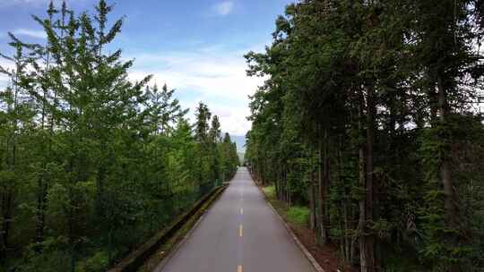 行驶在腾冲火山群的景观大道上