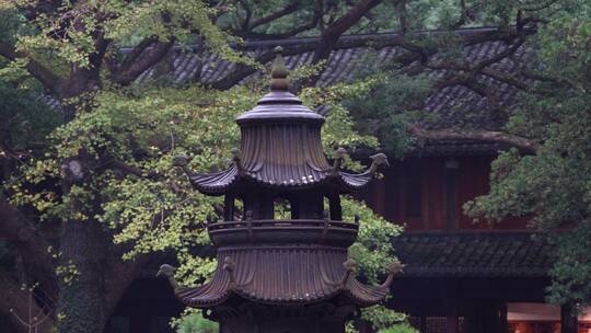 浙江普陀山法雨寺禅院建筑4K视频