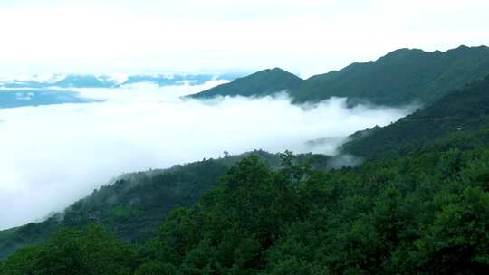 大自然青山绿水森林氧吧云雾缭绕山峦