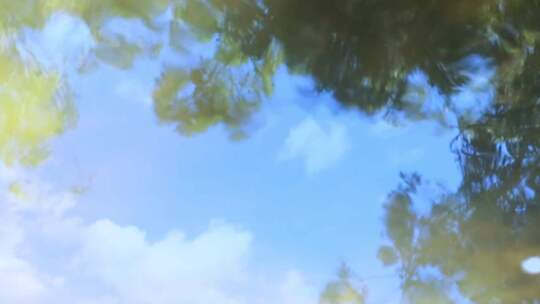 树枝蓝天天空水中倒影
